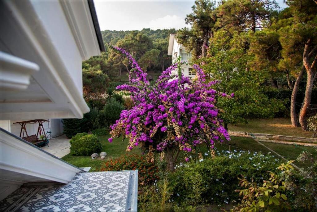 Triada Hotel Büyükada Adalar Exterior foto